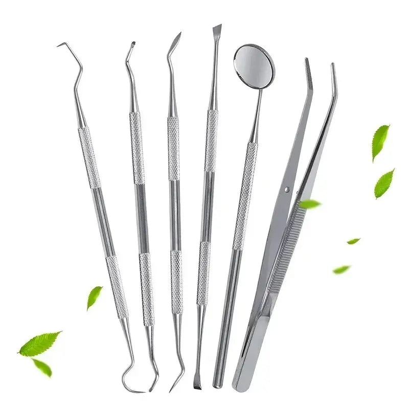 Stainless Steel Dentist Oral Tools Cleaning Flossing