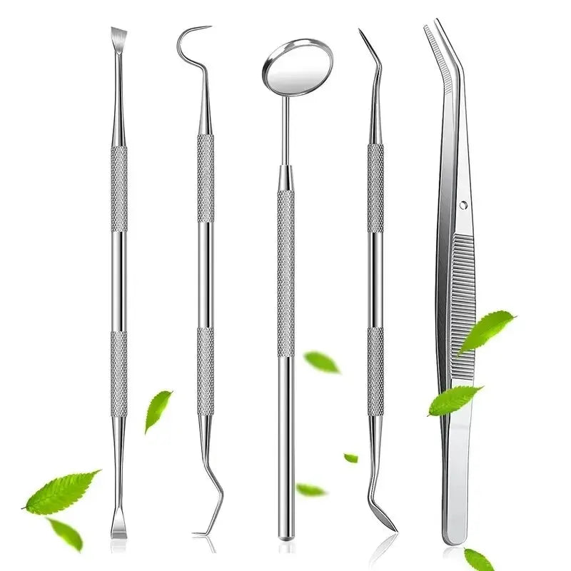 Stainless Steel Dentist Oral Tools Cleaning Flossing