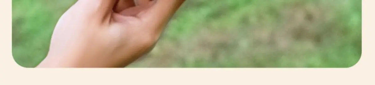 Complete camping kookset – potten, pan & waterketel