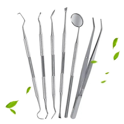 Stainless Steel Dentist Oral Tools Cleaning Flossing